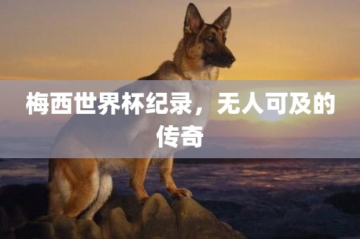 梅西世界杯纪录，无人可及的传奇眉山市正发家政服务有限公司