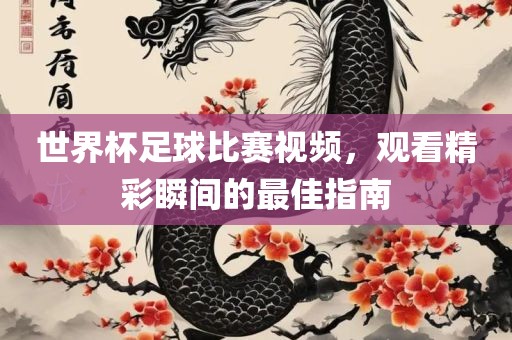 世界杯足球比赛视频，观看精彩瞬间的最佳指南