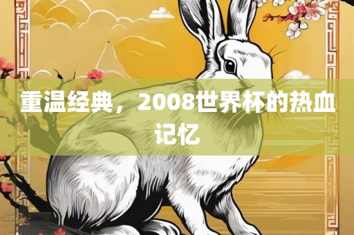 重温经典，2008世界杯的热血记忆