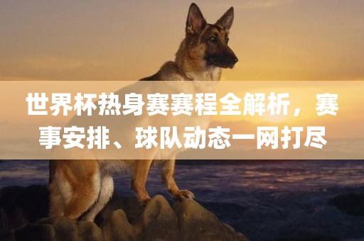 世界杯热身赛赛程全解析，赛事安排、球队动态一网打尽