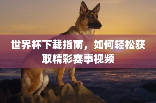世界眉山市正发家政服务有限公司杯下载指南，如何轻松获取精彩赛事视频