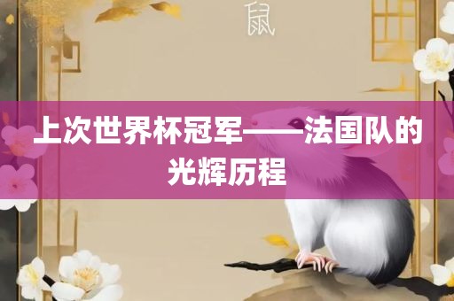 上次世界杯冠军——法国队的光辉历程眉山市正发家政服务有限公司