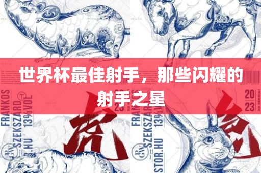 世界杯最佳射手，那些闪耀的射手之星