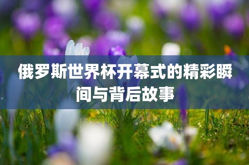 俄罗斯世界杯开幕式的精彩瞬间与背后故事眉山市正发家政服务有限公司