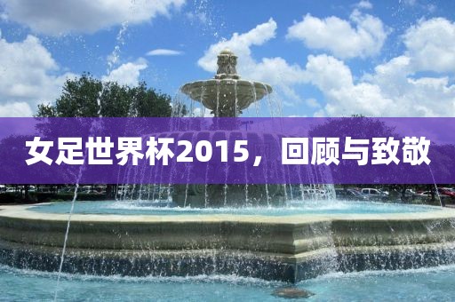 女足世界杯2015，回顾与致敬眉山市正发家政服务有限公司