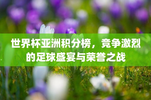 世界杯亚洲积分榜，竞争激烈的足球盛宴与荣誉之战眉山市正发家政服务有限公司