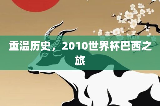 重温历史，2010世界杯巴西之旅眉山市正发家政服务有限公司