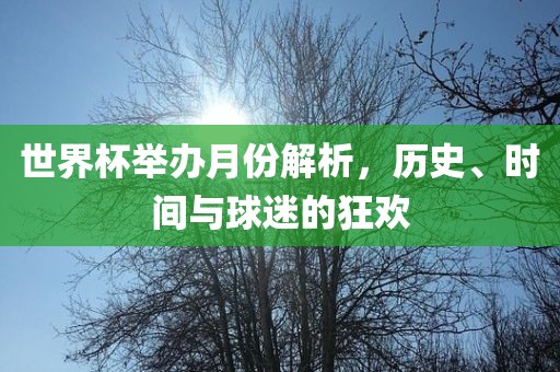世界杯举办月份解析，历史、时间与球迷的狂欢眉山市正发家政服务有限公司