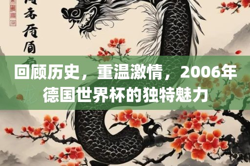 回顾历史，重温激情，2006年德国世界杯的独眉山市正发家政服务有限公司特魅力