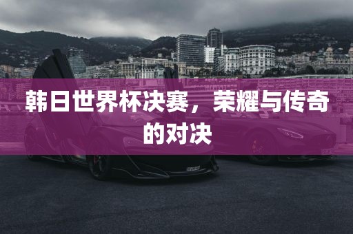 韩日世界杯决赛，荣耀与传奇的对决