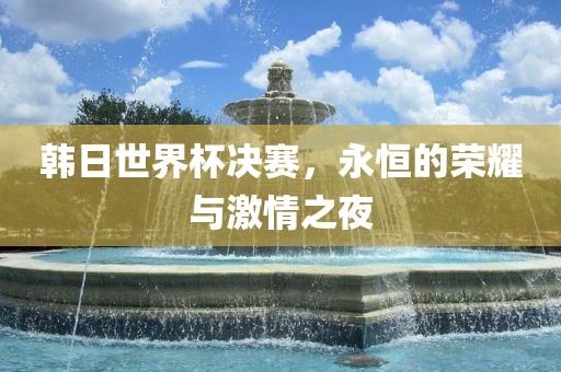 韩日世界杯决赛，永恒的荣耀与激情之夜