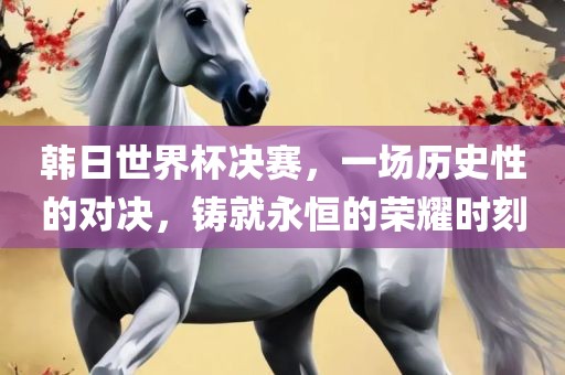 韩日世界杯决赛，一场历史性的对决，铸就永恒的荣耀时刻