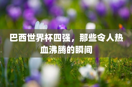 巴西世界杯四强，那些令人热血沸腾的瞬间眉山市正发家政服务有限公司