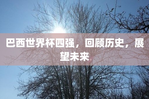 巴西世界杯四强，回顾历史，展望未来眉山市正发家政服务有限公司