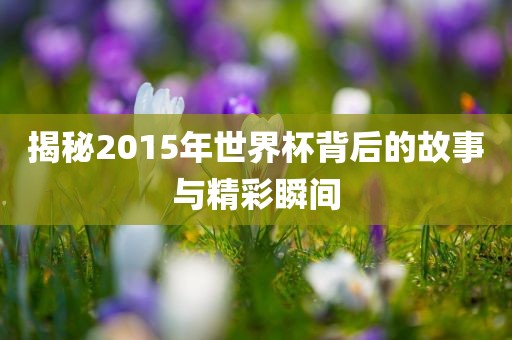 揭秘2015年世界杯背后的故事与精彩瞬间眉山市正发家政服务有限公司