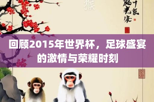 回顾2015年世界杯，足球盛宴眉山市正发家政服务有限公司的激情与荣耀时刻