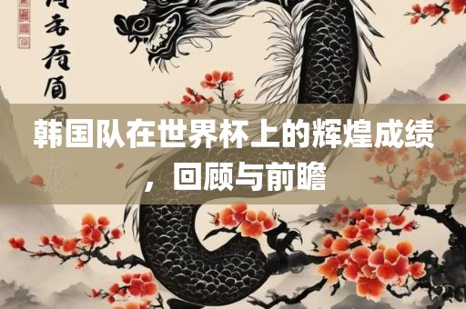 韩国队在世界杯上的辉煌成绩，回顾与前瞻