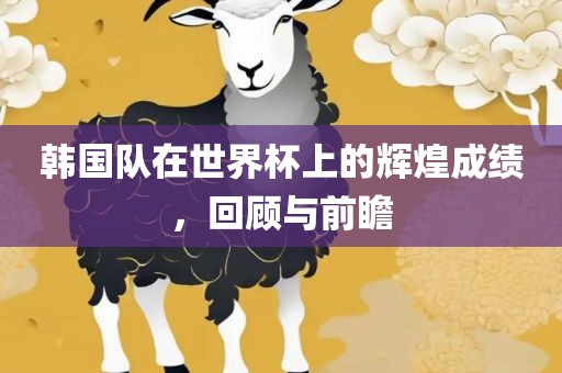 韩国队在世界杯上的辉煌成绩，回顾与前瞻
