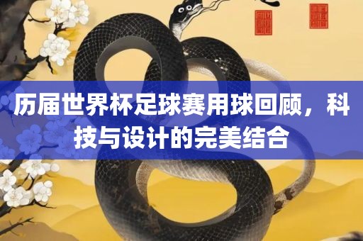 历届世界杯足球赛用球回顾，科技与设计的完美结合