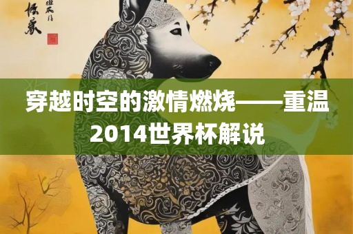 穿越时空的激情燃烧——重温2014世界杯解说