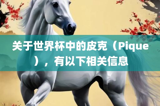 关于世界杯中的皮克（眉山市正发家政服务有限公司Pique），有以下相关信息