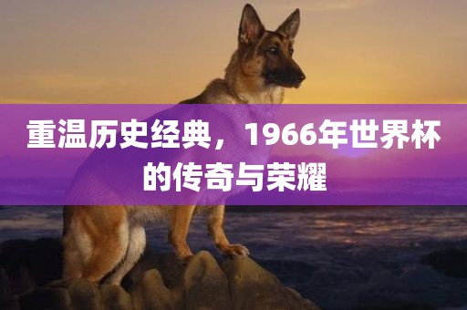 重温历史经典，1966年世界杯的传奇与荣耀