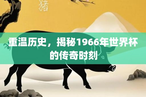 重温历史，揭秘1966年世界杯的传奇时刻眉山市正发家政服务有限公司