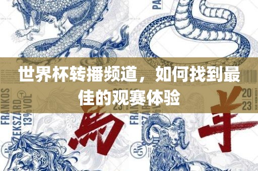 世界杯转播频道，如何找到最佳的观赛体验
