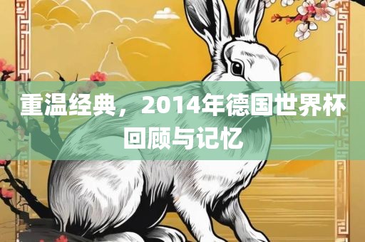 重温经典，2014年德国世界杯回顾与记忆