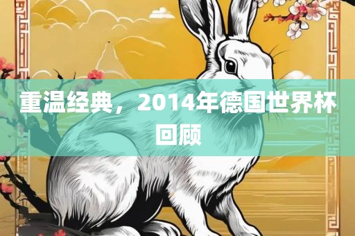 重温经典，2014年德国世界杯回顾