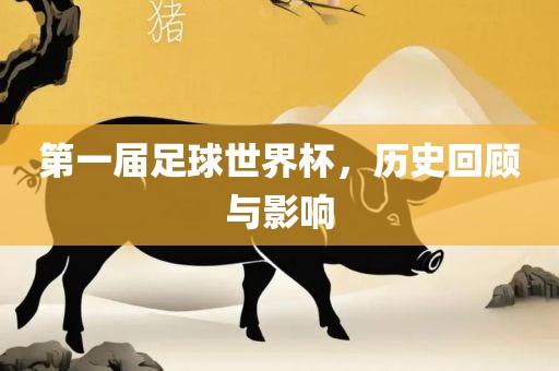 第一届足球世界杯，历史回顾与影响眉山市正发家政服务有限公司