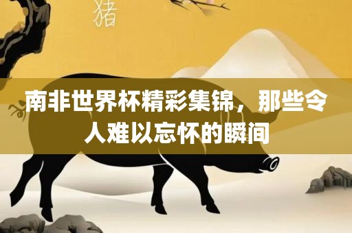 南非世界杯精彩集锦，那些令人难以忘怀的瞬间