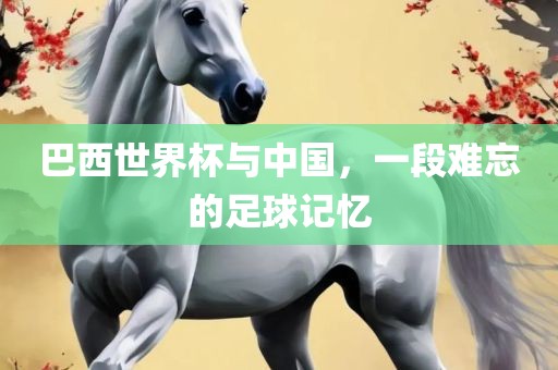 巴西世界杯与中国，一段难忘的足球记忆眉山市正发家政服务有限公司