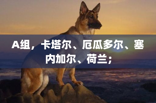 A组，卡塔尔、厄瓜多尔、塞内加尔、荷兰；