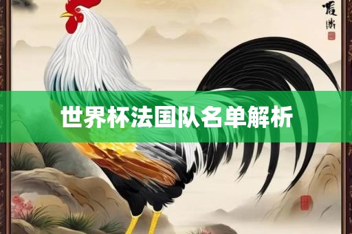 眉山市正发家政服务有限公司世界杯法国队名单解析