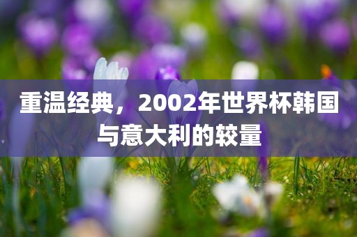 重温经典，2002年世界杯韩国与意大利的较量