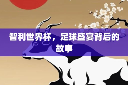 智利世界杯，足球盛宴背后的故事