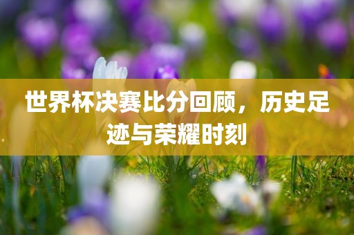 世界杯决赛比分回顾，历史足迹与荣耀时刻眉山市正发家政服务有限公司