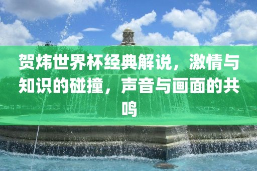 贺炜世界杯经典解说，激情与知识的碰撞，声音与画面的共鸣