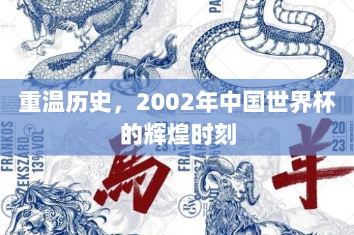 重温历史，2002年中国世界杯的辉煌时刻