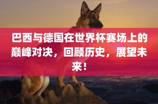 巴西与德国在世界杯赛场上的巅峰对决，回顾历史，展望未来！