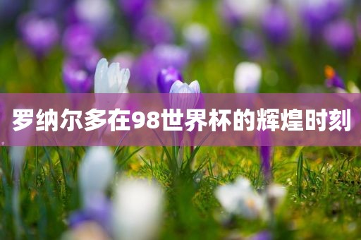 罗纳尔多