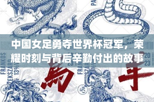 中国女足勇夺世界杯冠军，荣耀时眉山市正发家政服务有限公司刻与背后辛勤付出的故事