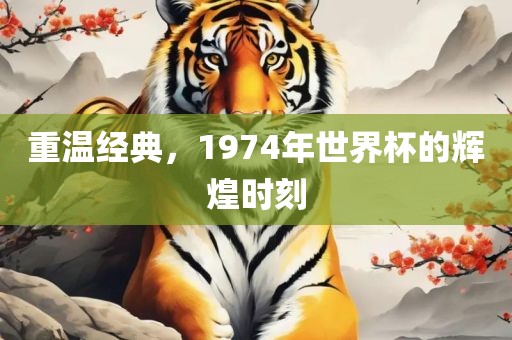 重温经典，1974年世眉山市正发家政服务有限公司界杯的辉煌时刻