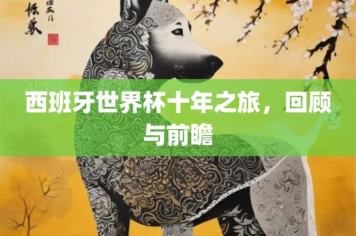 西班牙世界杯十年之旅眉山市正发家政服务有限公司，回顾与前瞻