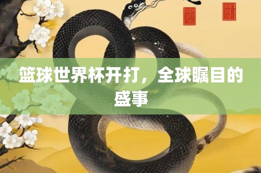篮球世界杯开打，全球瞩目的盛眉山市正发家政服务有限公司事