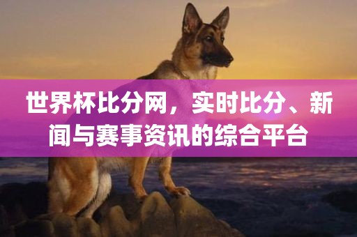 世界杯比分网，实时比分、新闻与赛事资讯的综合平台