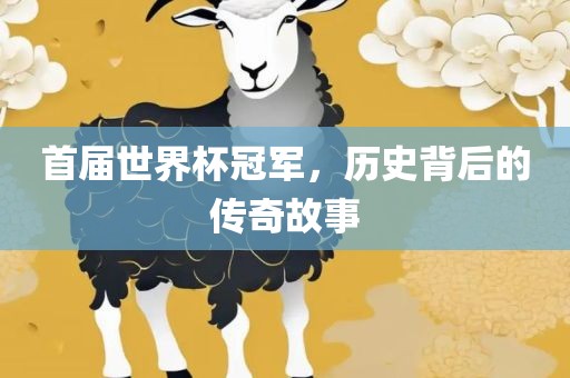 首届世界杯冠军，历史背后的传奇眉山市正发家政服务有限公司故事