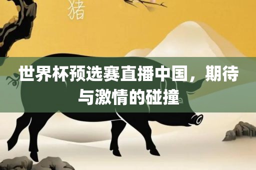 世界杯预选赛直播中国，期待与激情的碰撞