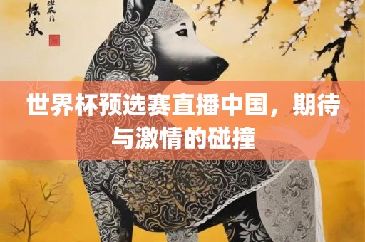 世界杯预选赛直播中国，期待与激情的碰撞